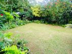 Valuable Land for Sale in Kiribathgoa Makola