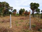 Valuable Land for Sale in Kks