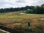 Valuable Land for Sale in Koralaima