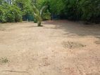 Valuable Land for Sale in Kosgama