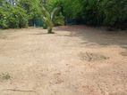 Valuable Land for Sale in Kosgama Kanampalla Road