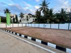 Valuable Land for Sale in Koswatha