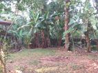 Valuable Land for Sale in Kottawa