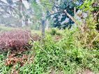 Valuable Land for Sale in Kottawa