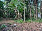 Valuable Land for Sale in Kottawa