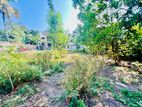 Valuable Land for Sale in Kottawa