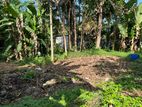 Valuable Land for Sale in Kottawa 📍