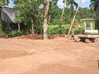 Valuable Land For Sale In Kottawa
