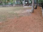 Valuable Land for Sale in Kottawa