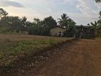 Valuable Land for Sale in Kumbuka