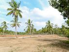 Valuable Land for Sale in Kurunagala