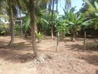 Valuable Land for Sale in Maharagama