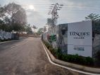 Valuable Land for sale in Malabe Chandrika Kumaratunga Mawatha