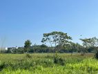Valuable Land for Sale in Malapalla