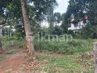 Valuable Land for Sale in Matale