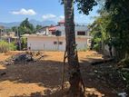 Valuable Land For Sale in Matale