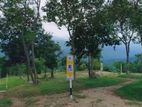 Valuable Land for Sale in Matale