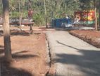 Valuable Land for Sale in Matale Nalanda