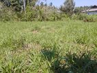 Valuable Land for Sale in Matara