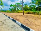 Valuable Land for sale in Matara Kekanadura