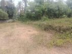 Valuable Land for Sale in Mattegoda