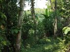 Valuable Land for Sale in Mawanella