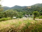 Valuable land for sale in Mawanella, Uthuwankanda