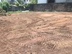 Valuable Land for Sale in Meegoda