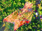 Valuable Land for Sale in Melsiripura D05