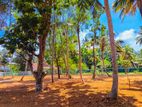 Valuable land for sale in Midigama coastal area.. near the Surf point