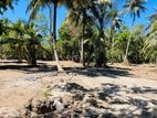Valuable Land for Sale in Midigama