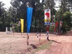 Valuable Land for Sale in Minuwangoda