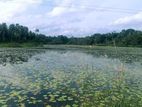 Valuable Land for Sale in Minuwangoda