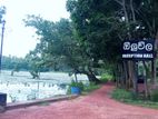Valuable Land for Sale in Minuwangoda
