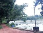 Valuable Land for Sale in Minuwangoda