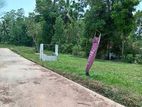 Valuable Land for Sale in Minuwangoda