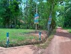 Valuable Land for Sale in Minuwangoda