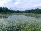 Valuable Land for Sale in Minuwangoda