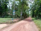 Valuable Land for Sale in Minuwangoda