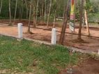 Valuable Land for Sale in Nalanda