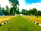 Valuable Land for Sale in Nawagamuwa