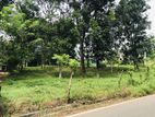 Valuable Land for Sale in Nawalamulla, Homagama.