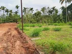 Valuable Land for Sale in Nawalapitiya