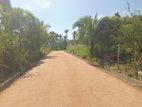 Valuable land for Sale in Nawalapitiya