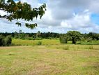 Valuable Land for Sale in Near Kasbewa