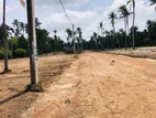 Valuable Land for Sale in Negombo 14.25p