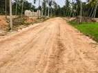 Valuable Land for Sale in Negombo 15.08p