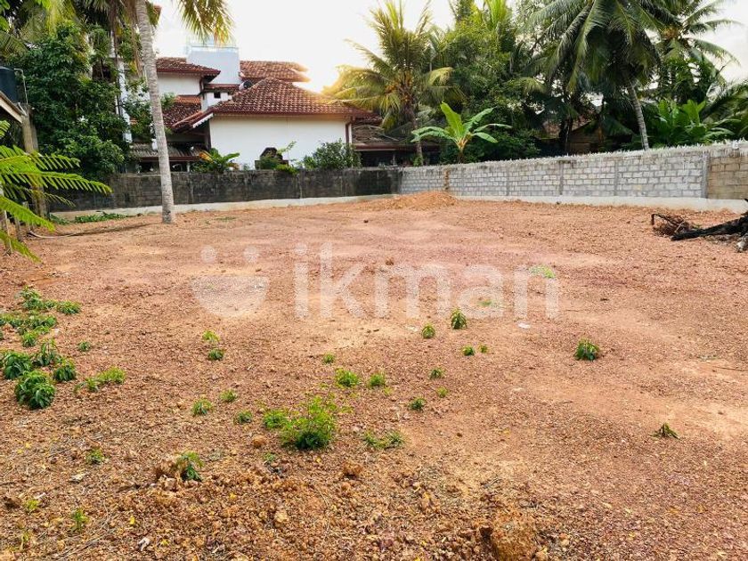 Valuable Land For Sale in Negombo ikman