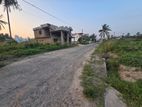 Valuable Land For Sale in Negombo