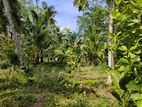 Valuable Land for Sale in Negombo